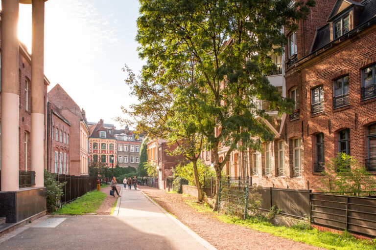 Rue calme de Lille avec immeubles en briques, arbres et lumière naturelle, ambiance chaleureuse et paisible.